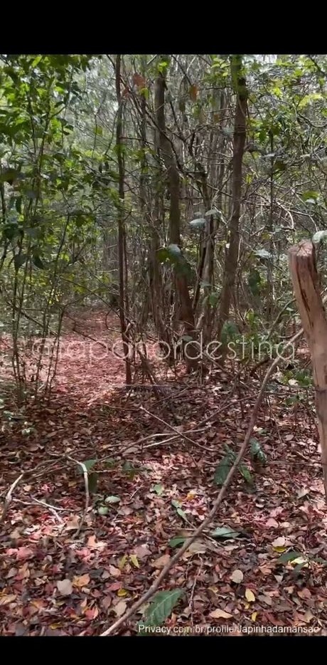 breite onlyfans kunst nackten bild