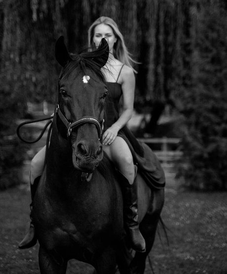 riesenschwanz shemale onlyfans heiße nette bild