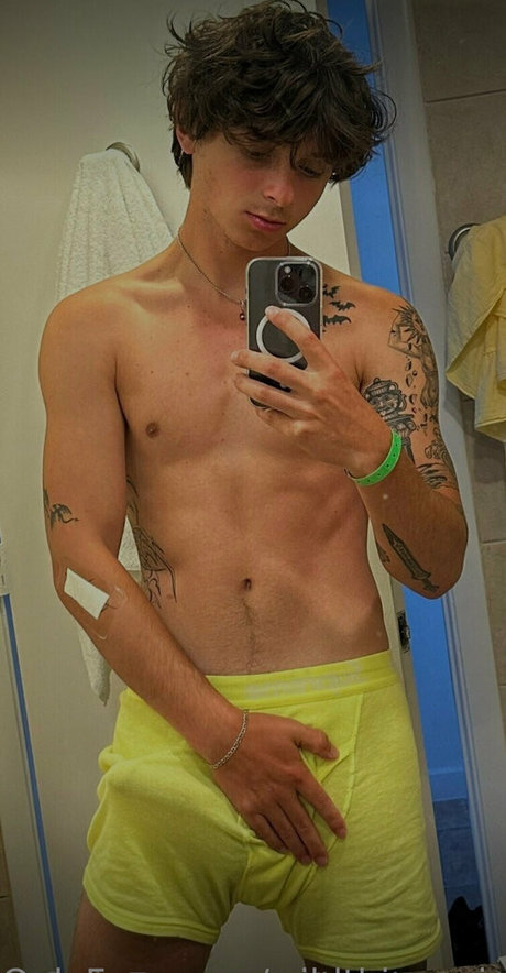 wildthingsvip hd beste bild