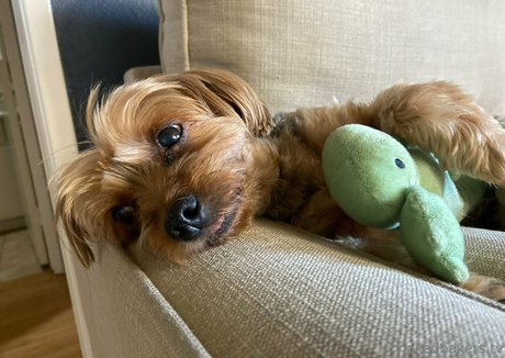 schwarze lehrer-onlyfans nackt heiße galerien