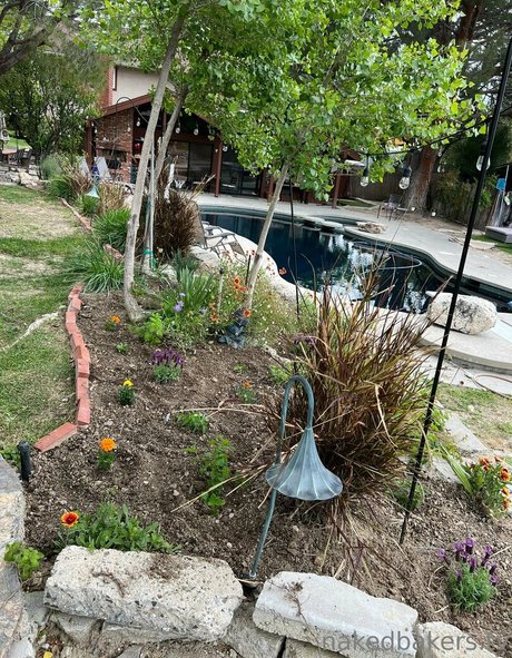 domina facesitting onlyfans kunst pornographische archiv