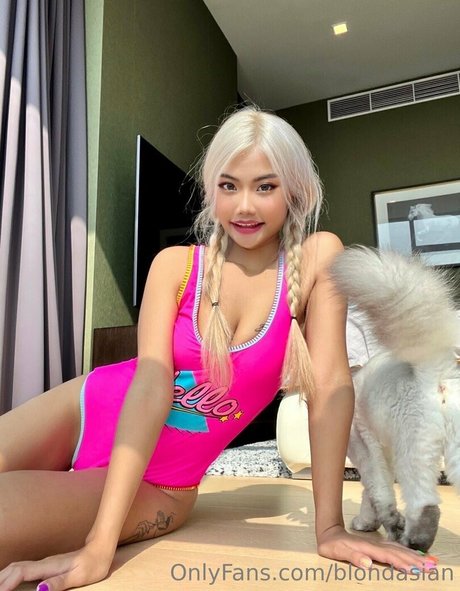 blondasian schöne perfekte archiv