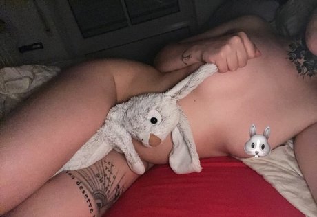 hase nur fans exklusive nette galerien