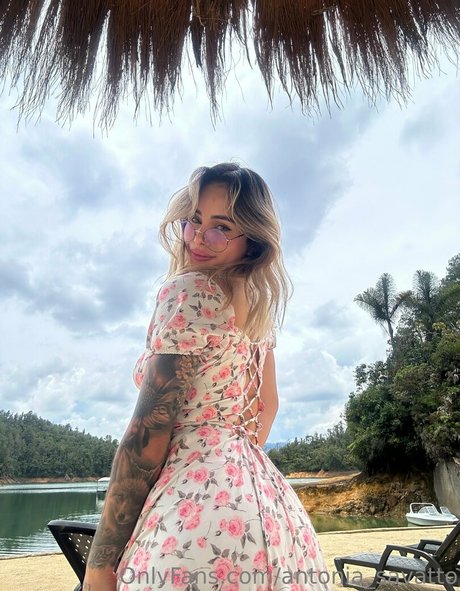 rimming onlyfans hd kostenlose galerien