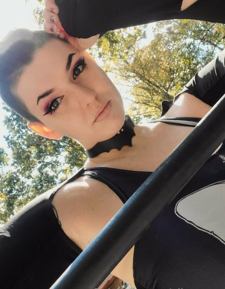 schwarzer hahnrei nur fans hübsche kunst bilder