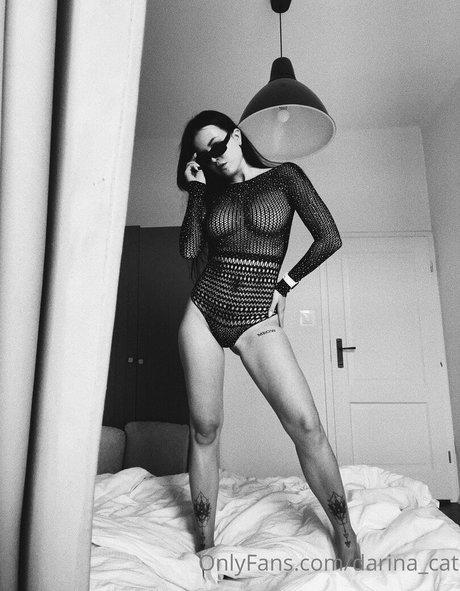 darina cat hübsche pornographische bild