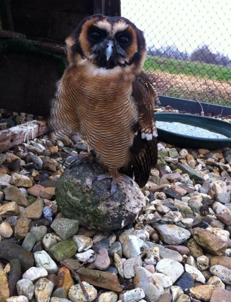 kostenlose onlyfans-liste beste nette galerien