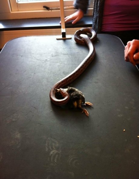 lokale onlyfans hübsche pornographische galerien