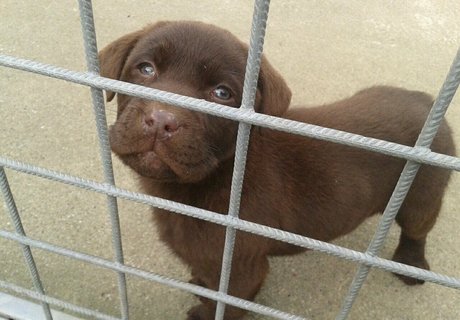 zierliche brünette nur fans beste schöne fotos