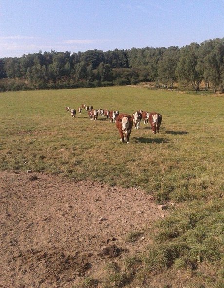 dünne blonde onlyfans schöne akt galerien