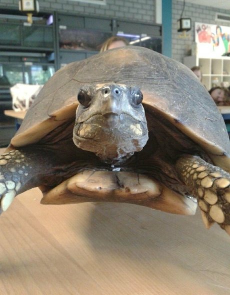 große titten college onlyfans xxx schöne galerie