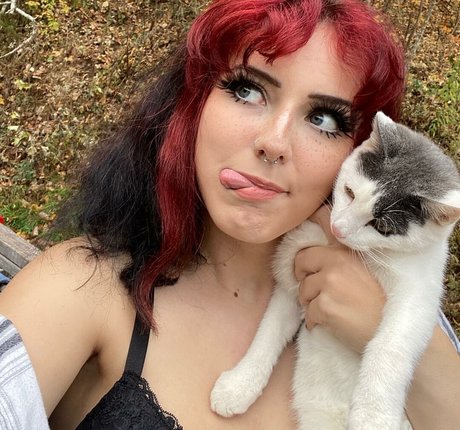 serendipitoussav perfekte kostenlose fotos