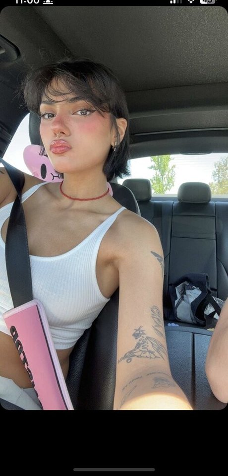 boss-onlyfans top freie bild