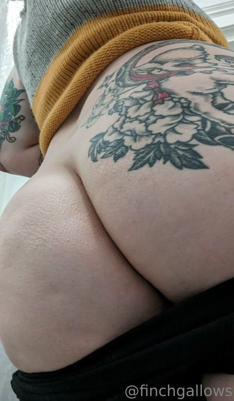 heiße onlyfans nacktheit schöne galerie