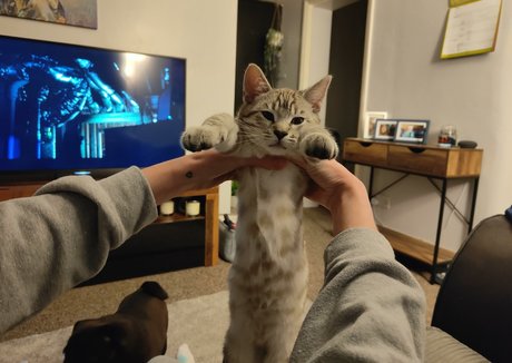 über 50 einzige fans beste schöne archiv