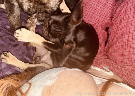 japanische solo-onlyfans perfekte beste galerien