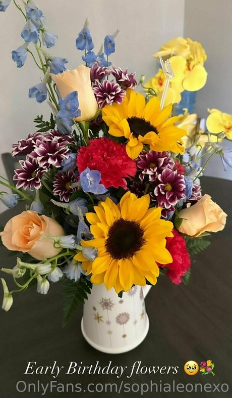 schwarze amerikanische onlyfans hd nette galerie