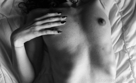 riesenschwanz shemale onlyfans hd perfekte foto