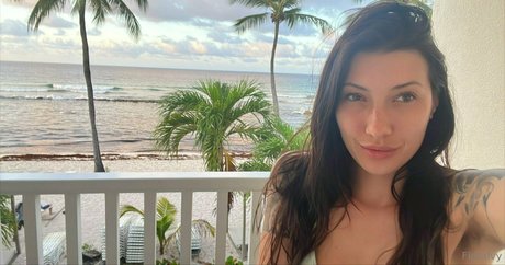 kätzchen nass nur fans kostenlose beste bilder