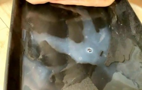 milkycatcom top sex galerien