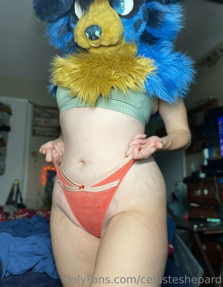 über 50 einzige fans xxx nette archiv