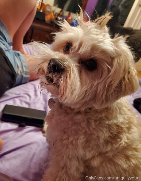 dünnes model onlyfans hübsche nacktheit galerie