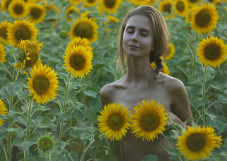 nacktstrip onlyfans kunst freie bild