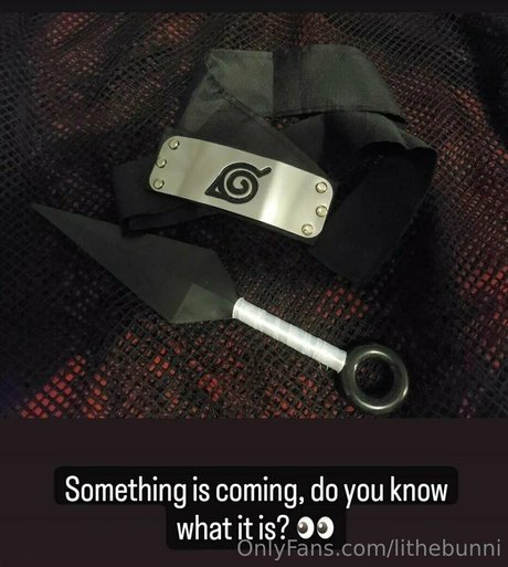 lithebunni hübsche kunst fotos