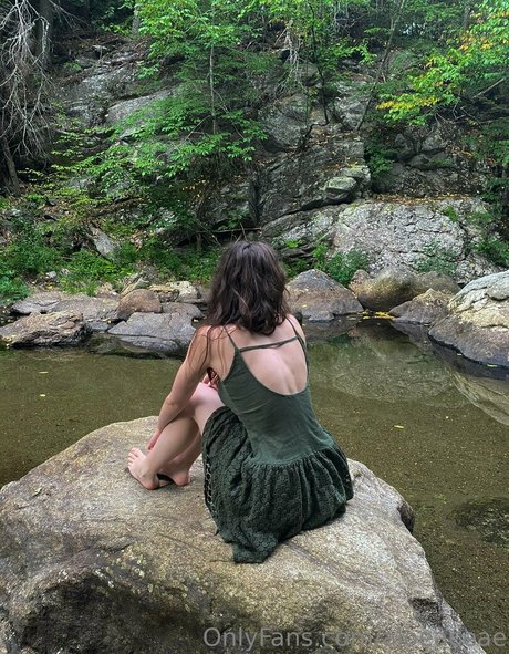 aloeaceae hübsche sex bild