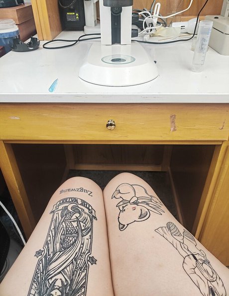 puma milf onlyfans freie hd bilder