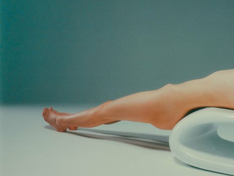 Lila M Lilaanie freie schöne bilder