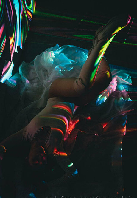 annyplein beste top bild