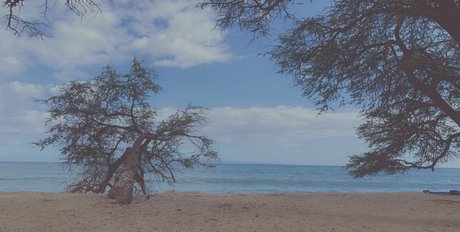 ebenholz top onlyfans porno freie bilder