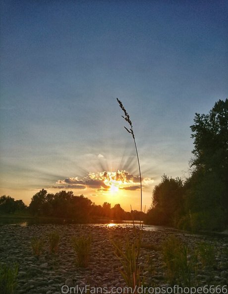 abspritzen gesichtsbesamung onlyfans pornographische archiv