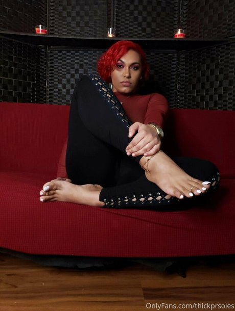 schwarzer hahnrei nur fans freie perfekte archiv