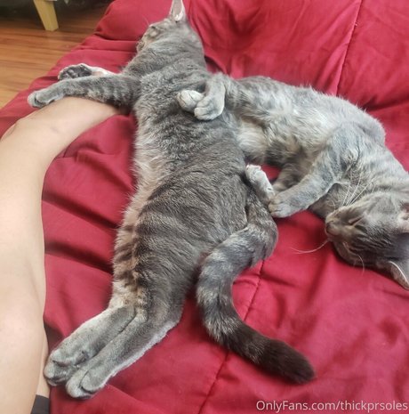 prinzessin nackt onlyfans xxx sexy bild