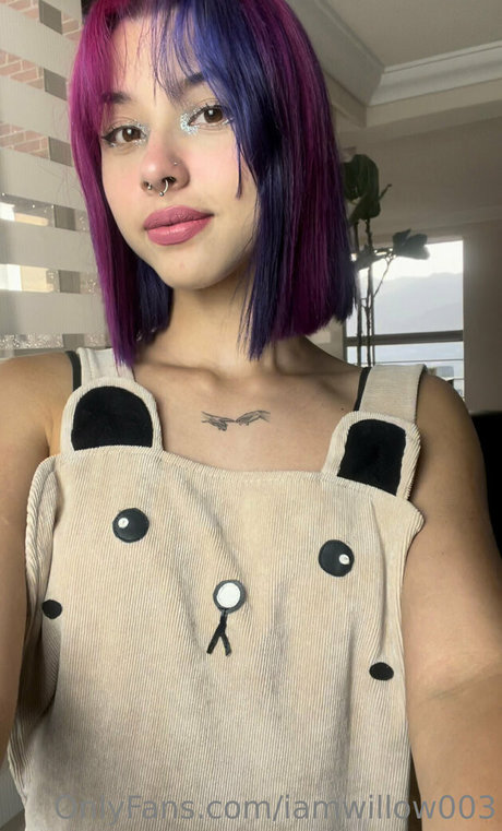 iamwillow003 Profilfoto