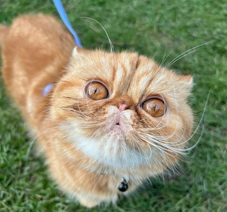 dünnes model onlyfans kostenlose sex galerie