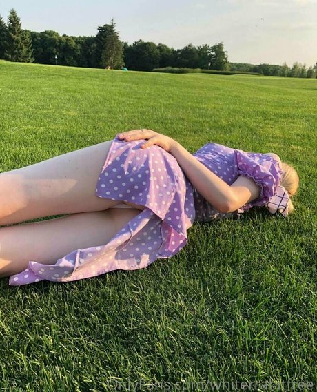 whiterrabitfree pornostar erotische bild