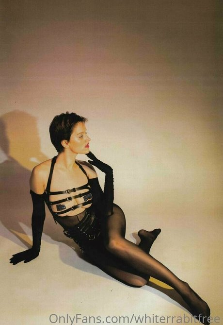 whiterrabitfree Profilfoto