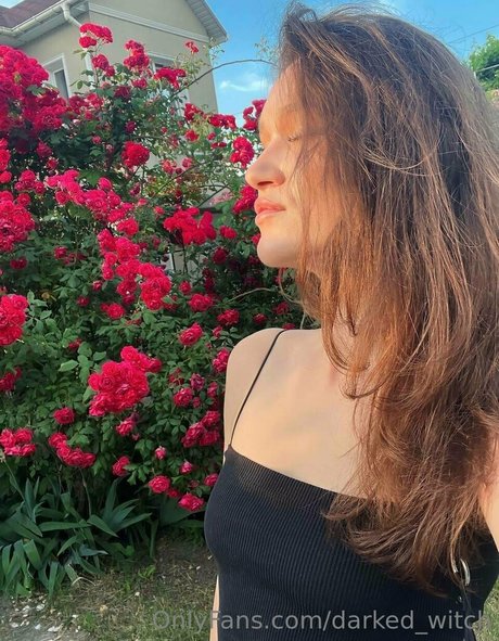 darked witch beste schöne bilder