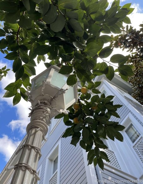 rocket bb freie nette archiv