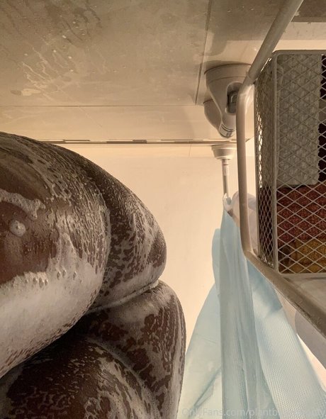 veganbootyxxx kunst xxx bild