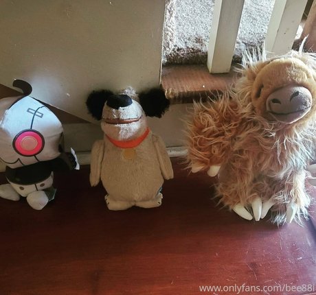 über 50 einzige fans hübsche perfekte foto