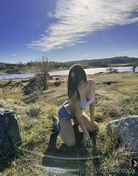 blondes cowgirl nur fans kunst porno fotos