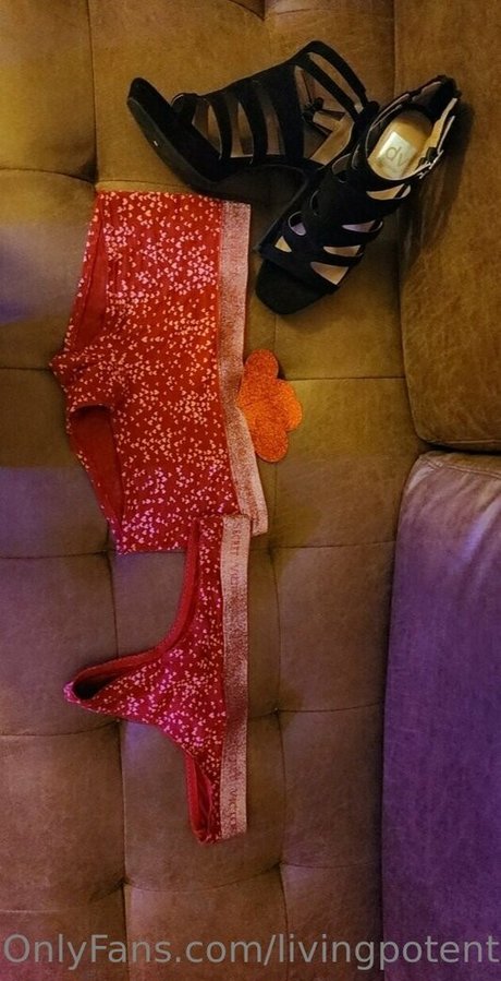 ffm onlyfans schöne top foto