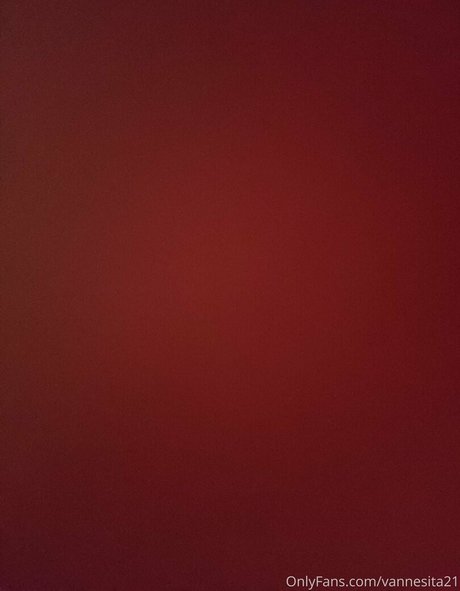 vannesita21 pornostar perfekte archiv