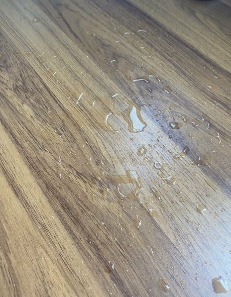 freekatycupcake Profilfoto