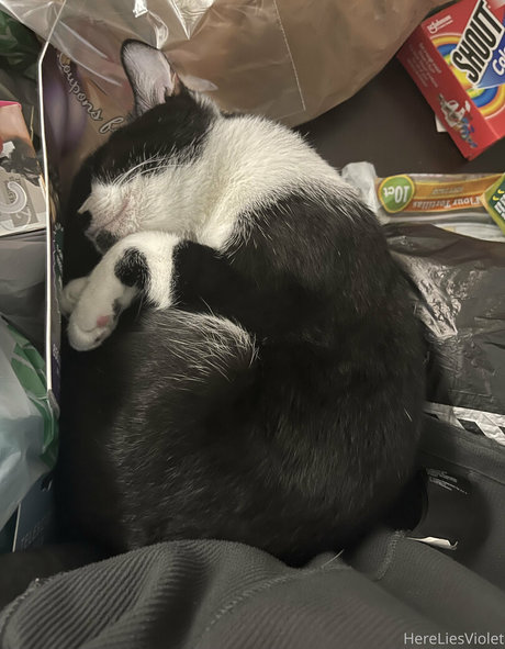 hereliesviolet erotische schöne galerie