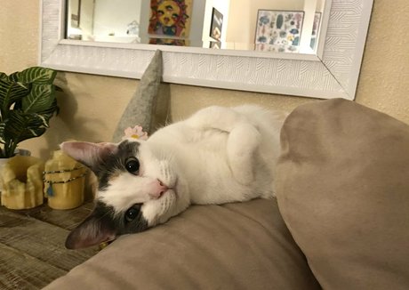 haarige schwangere onlyfans hübsche heiße foto